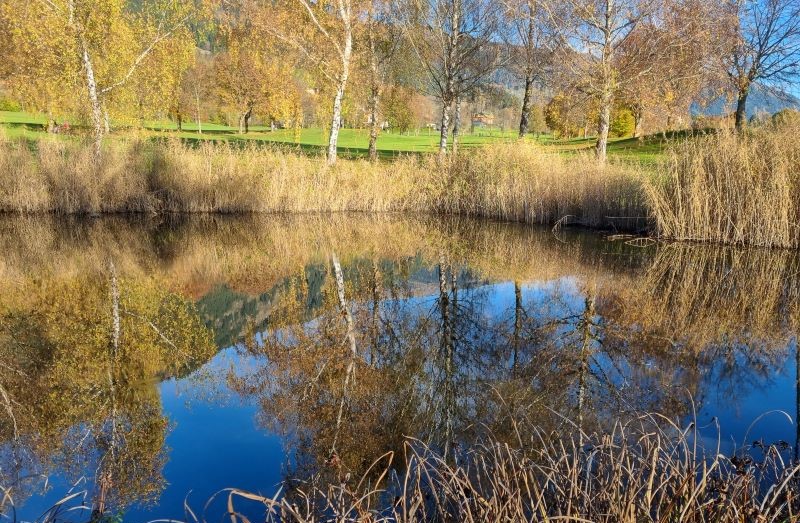 kleiner See mit Schilf